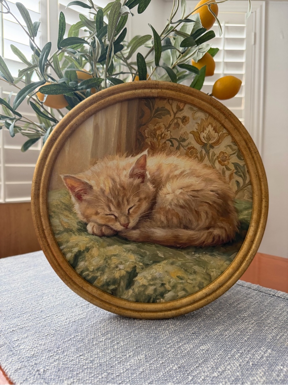 12x12” “Sleeping Cat” with elegant round gold brass color framed Vintage inspo